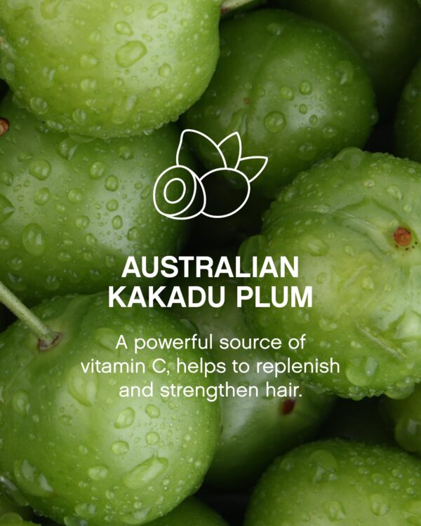 WhatsApp Image 2025-11-18 at 10.20.45 WhatsApp Image 2025-11-18 at 10.20.45